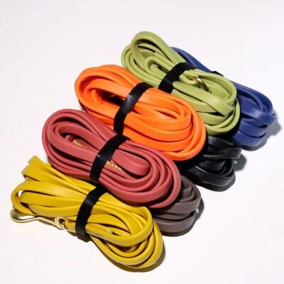 Inspired Living Heavy Duty Waterproof PVC Dog Training Leash gray l