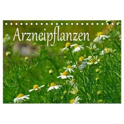 Arzneipflanzen (Tischkalender 2026 DIN A5 quer), CALVENDO Monatskalender