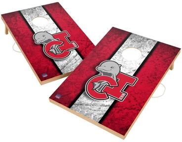 Skip's Garage Vintage Cal State Channel Islands Dolphins Regulation 2x4 Cornhole Set