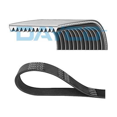 DAYCO Keilrippenriemen 12pk1950hd für Iveco