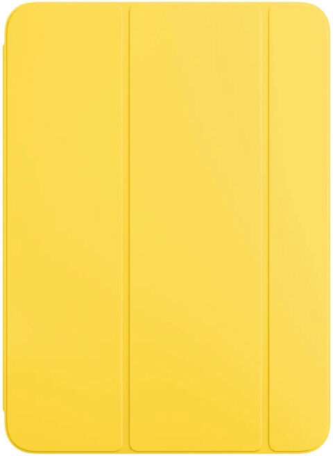 CAPA APPLE IPAD A16 AM