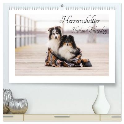 Herzensshelties - Shetland Sheepdogs (hochwertiger Premium Wandkalender 2026 DIN A2 quer), Kunstdruck in Hochglanz