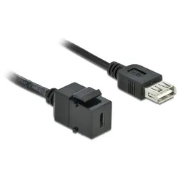 Delock Keystone Modul USB 2.0 C Buchse > USB 2.0 A Buchse mit Kabel