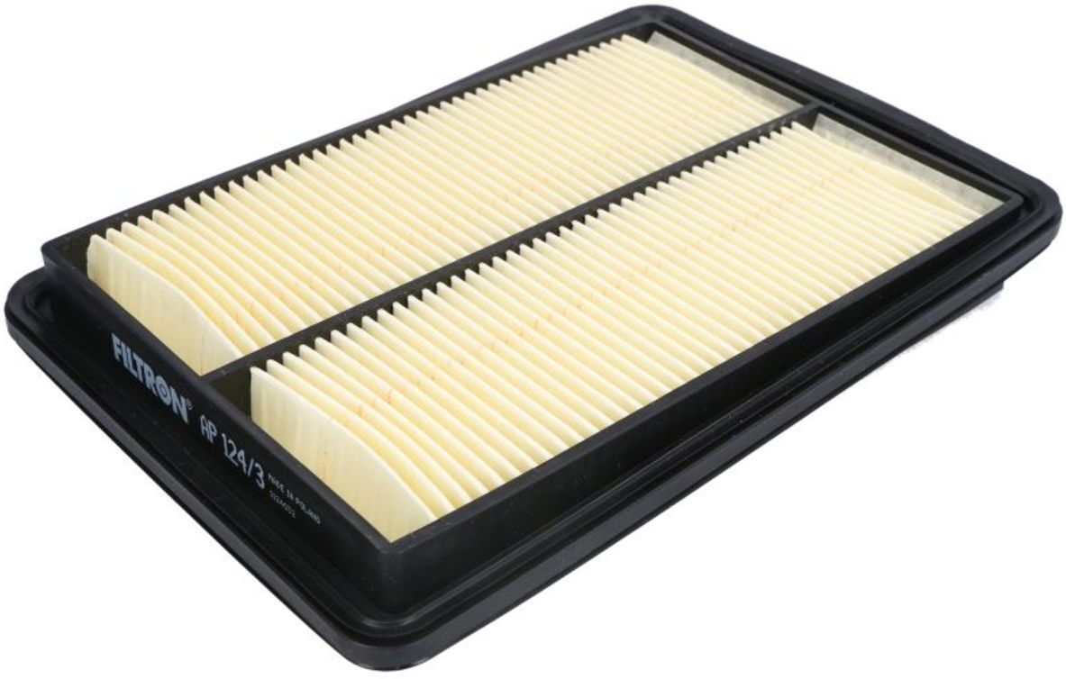 Filtron Filtro aria AP 124/3