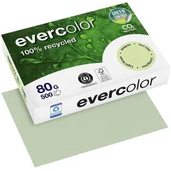 Clairefontaine Recyclingpapier Evercolor DIN A4 80 g/m2 hellgrün
