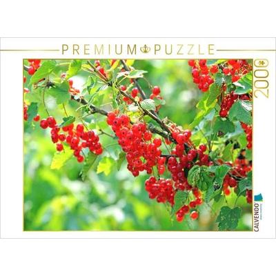 CALVENDO Puzzle Johannisbeeren | 2000 Teile Lege-Größe 90x67cm Foto-Puzzle für glückliche Stunden