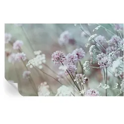 FOTOTAPETE 416x254 cm - Wildblumen