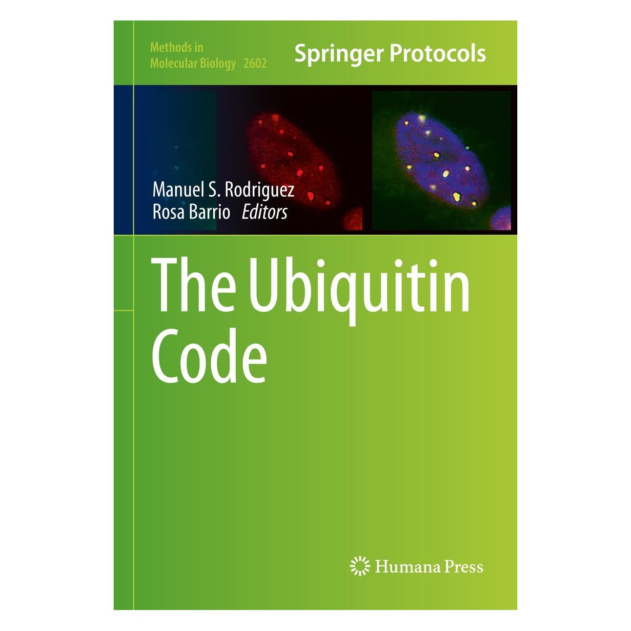 Springer The Ubiquitin Code (Englisch, Hardcover, Manuel S Rodriguez, Rosa Barrio) (9781071628584)