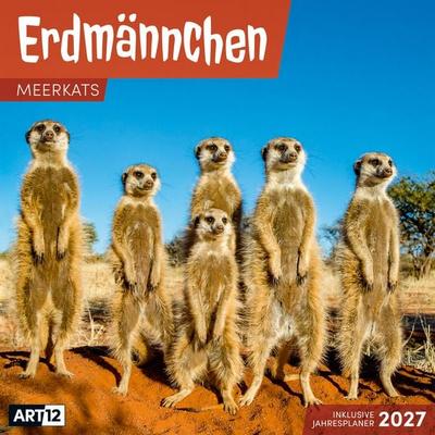 Erdmännchen Kalender 2027 - 30x30 - Art12