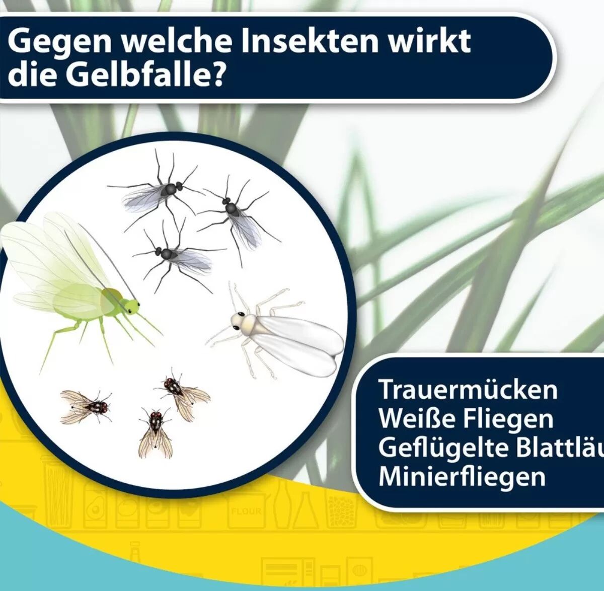 INF Lot de 100 plaques collantes jaunes pour insectes - Pièges séparables en PP pour jardin, serre et plantes en pot