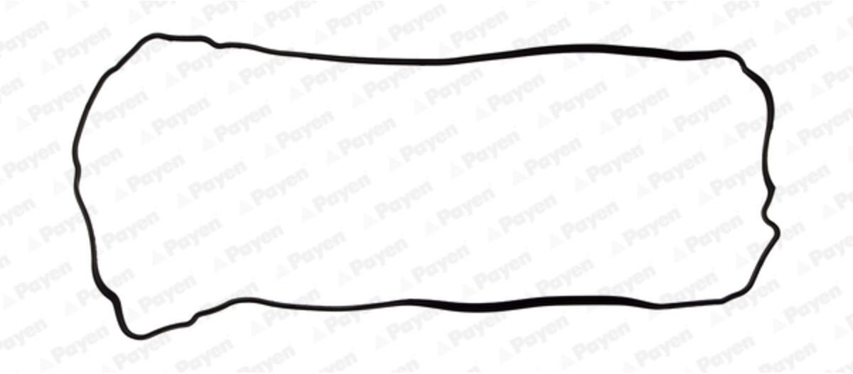 Payen Guarnizione, coperchio testa cilindro JM7106