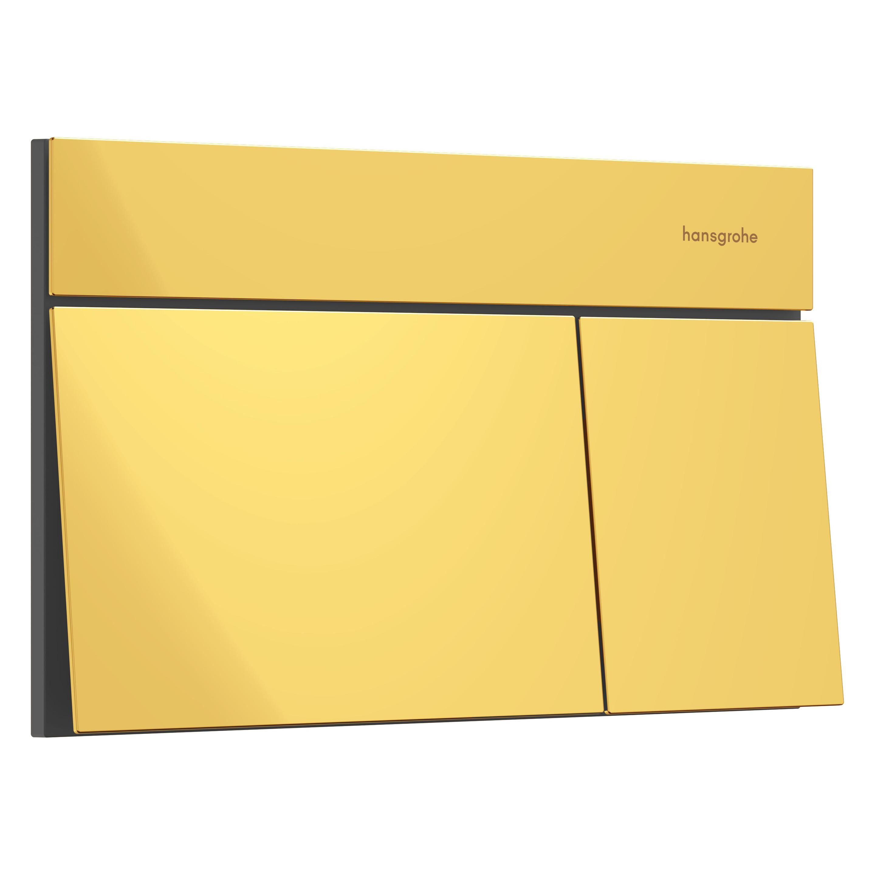 hansgrohe iFrame élément E Plaques de déclenchement pour chasse d'eau à 2 quantités, 66003990, 66003990 (66003990)