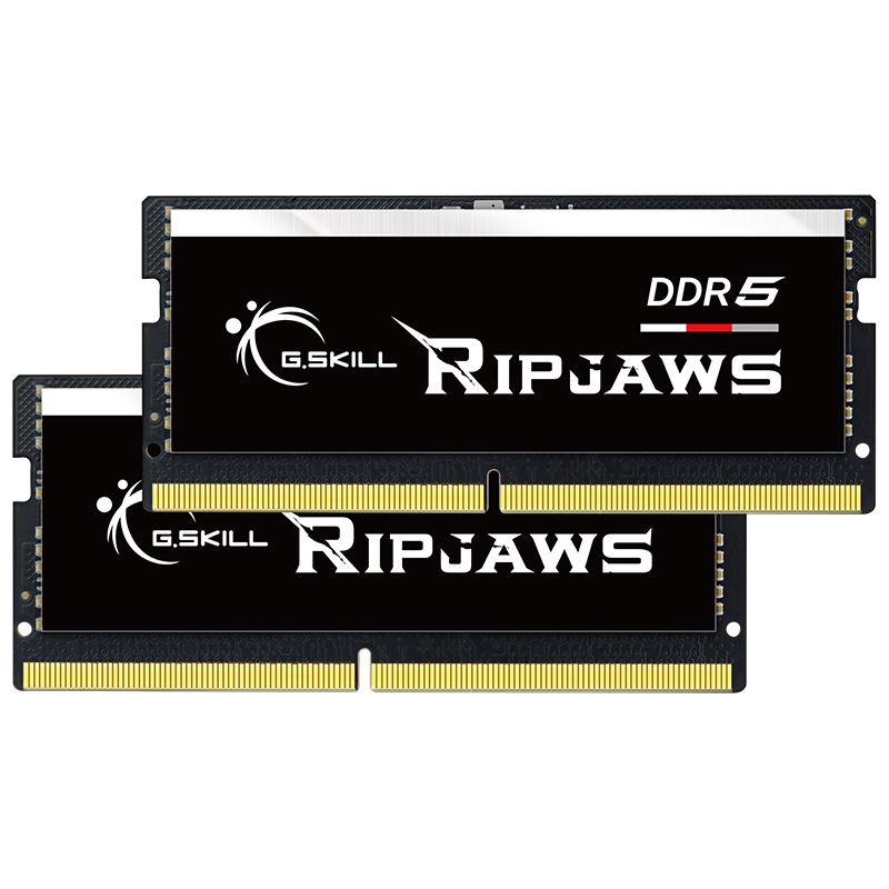 64GB G.Skill Ripjaws DDR5-4800 SO-DIMM CL40 Dual Kit