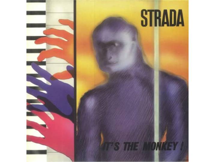 Strada - It's The Monkey!