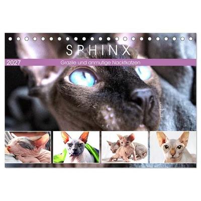 Sphinx. Grazile und anmutige Nacktkatzen (Tischkalender 2027 DIN A5 quer), CALVENDO Monatskalender