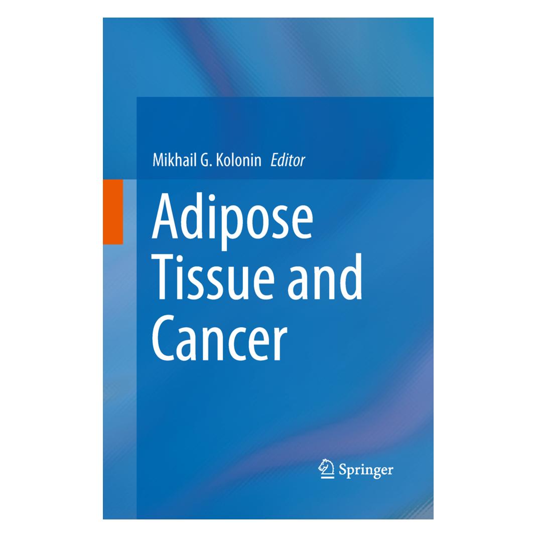 Springer Adipose Tissue and Cancer (Englisch, Softcover, Mikhail G. Kolonin) (55602612)