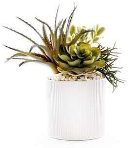 Jenny Silks Succulents in White Ribbed Planter