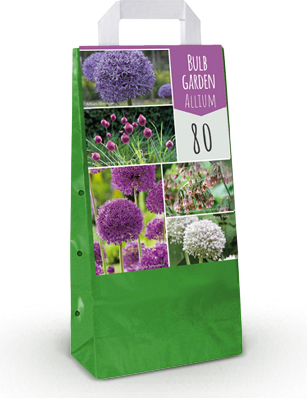 Bulb Garden Allium mix bloembollen - Diversen Kleuren - 80 stuks - 50-150 cm - Pflanzenboutique
