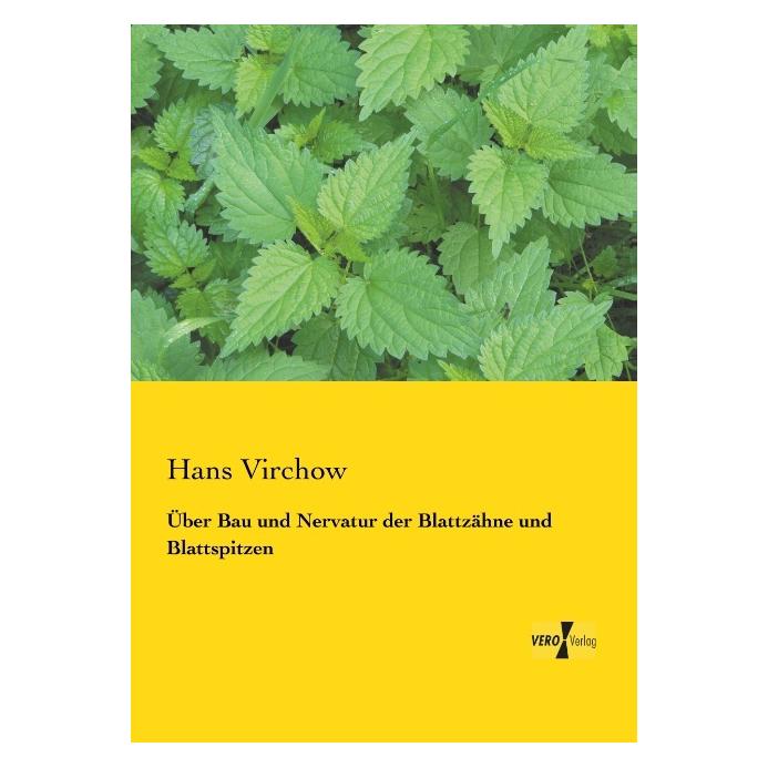 Vero Über Bau und Nervatur der Blattzähne und Blattspitzen (Deutsch, Softcover, Hans Virchow) (55556762)