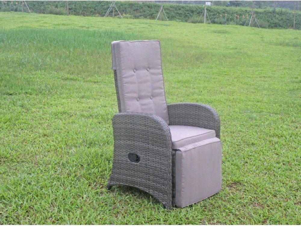Garden Pleasure Gartenstühle mit Armlehnen Salerno grau, Metall, 2 St.