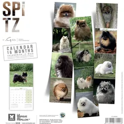 Martin Sellier, Kalender, Spitz