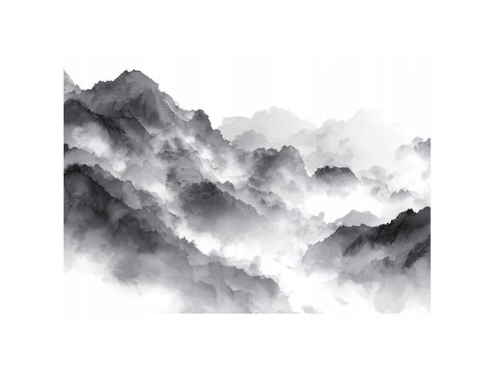 FOTOTAPETE Berge Natur Schwarzweiß 250x175 cm