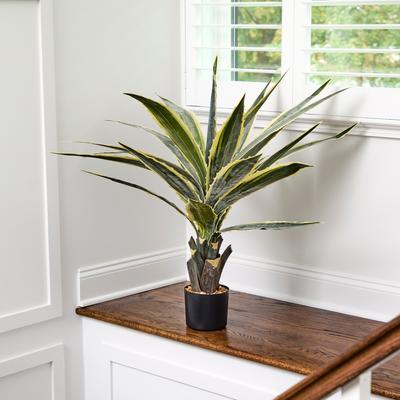 Regency International "38"" Potted Agave Plant"