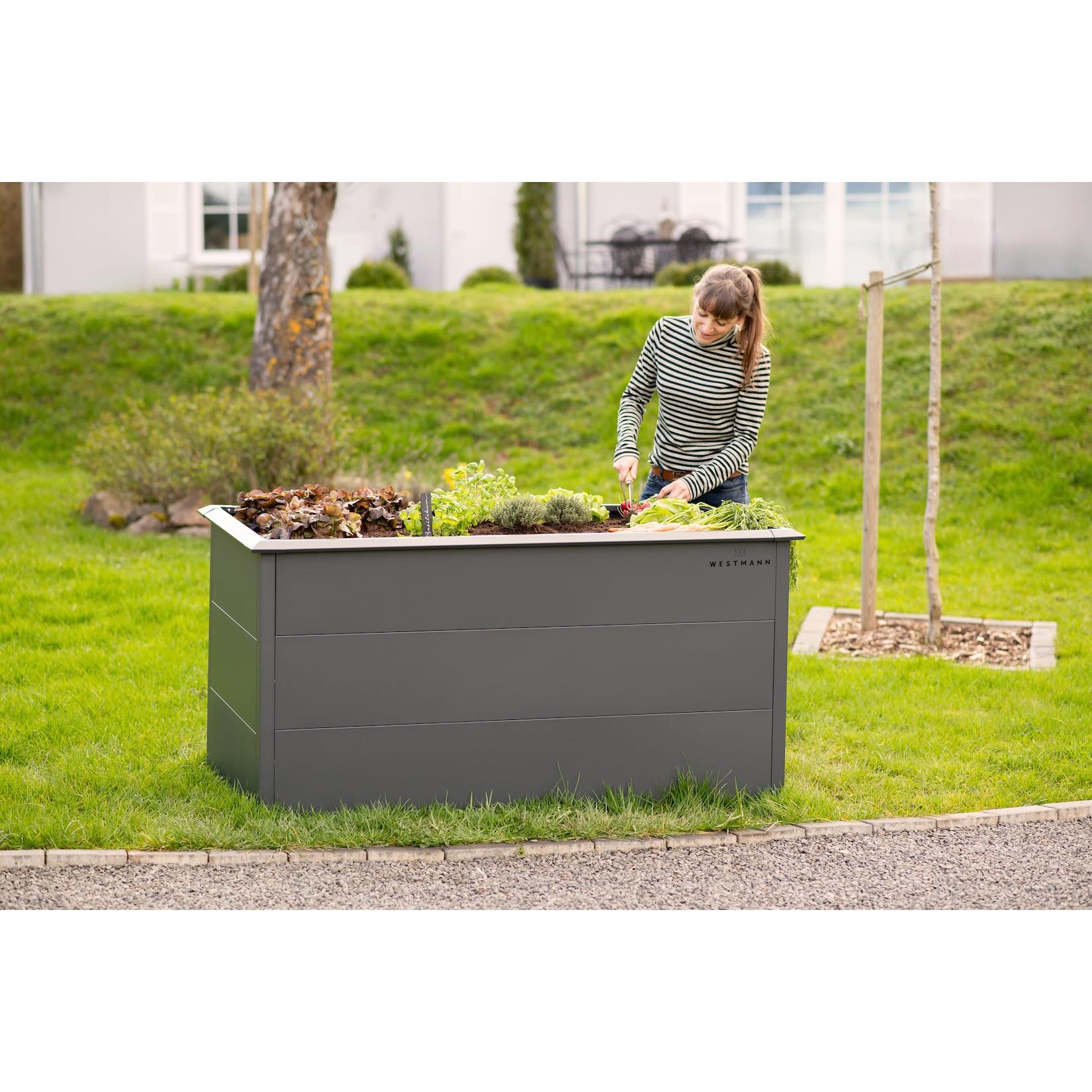 Westmann Hochbeet Primus L