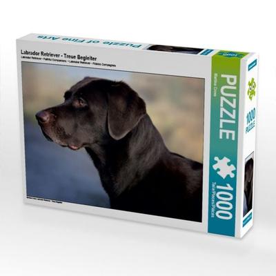 CALVENDO Puzzle Labrador Retriever - Treue Begleiter | 1000 Teile Lege-Größe 64x48cm Foto-Puzzle für glückliche Stunden