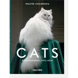 Cats von Walter Chandoha Weiß