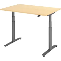 Bümö, Schreibtisch, Schreibtisch elektrisch Bluetooth & App XDLR (120 x 80 x 72 cm)
