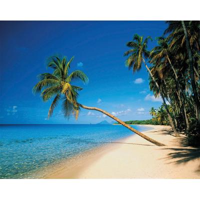 Fototapete PAPERMOON "Leaning Palms", bunt, B:2,5m L:1,86m, Vlies, Tapeten
