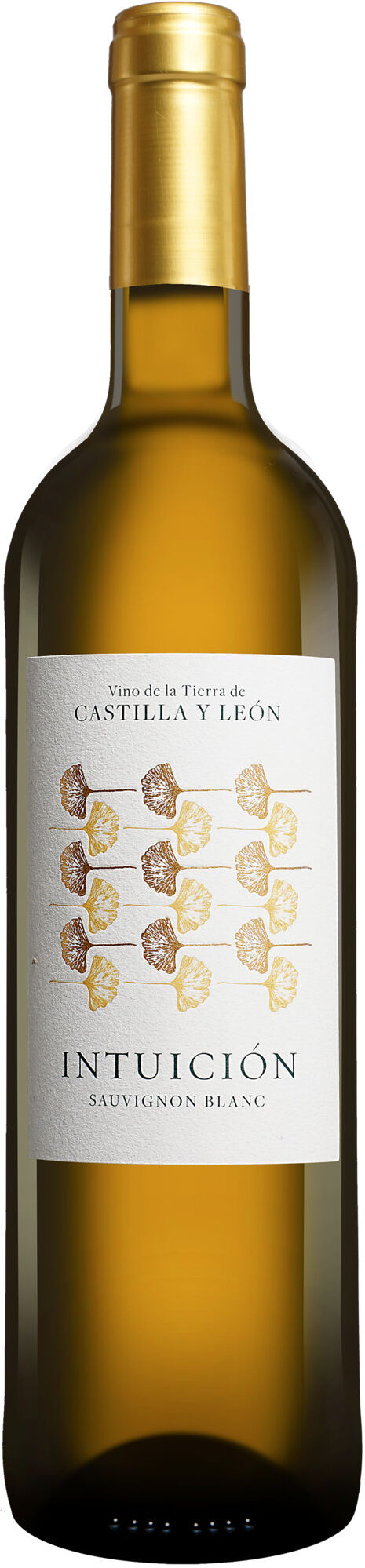 Intuición Sauvignon Blanc 2025 12.5% Vol. Weißwein Trocken aus Spanien
