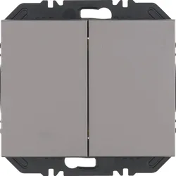 Berker 24127033 Friends of Hue Tasten 2fach,K.5,alu lack