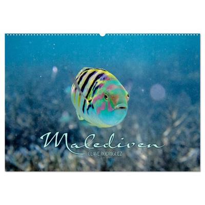 Unterwasserwelt der Malediven II (Wandkalender 2026 DIN A2 quer), CALVENDO Monatskalender