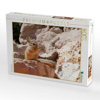 CALVENDO Puzzle Uinta-Streifenhörnchen | 1000 Teile Lege-Größe 64x48cm Foto-Puzzle für glückliche Stunden