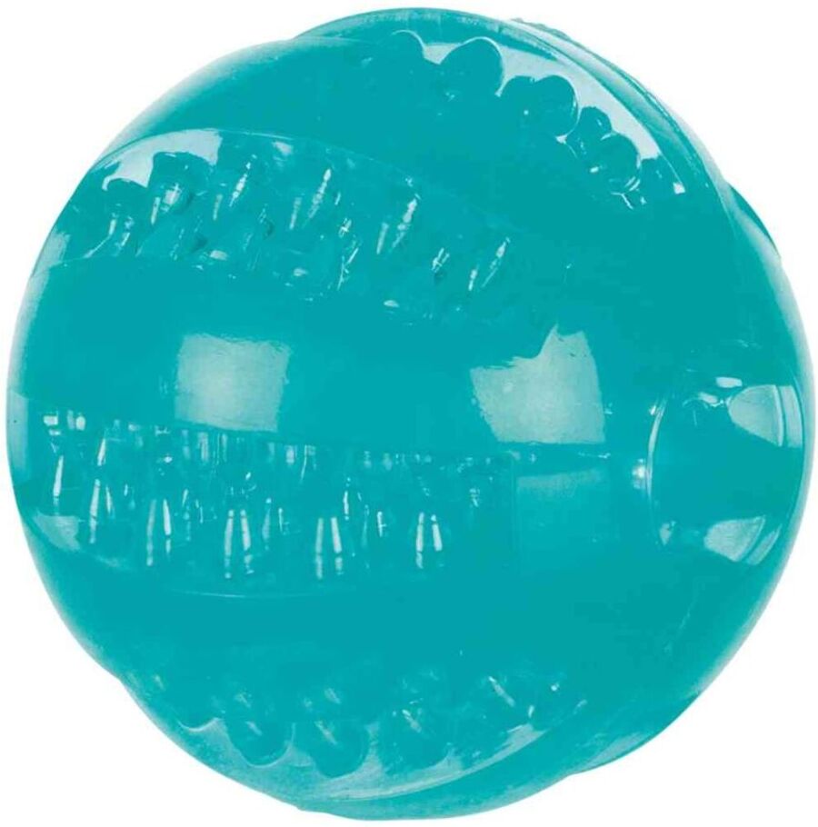 TRIXIE Denta Fun Ball, Minzgeschmack, TPR, Ø 6 cm