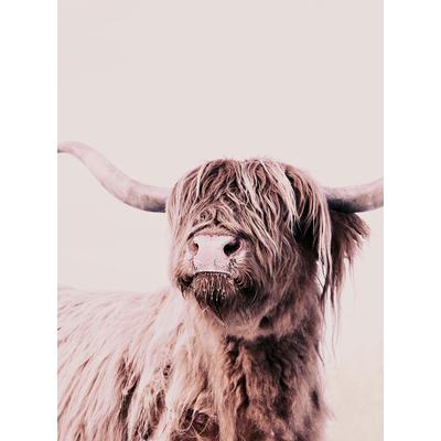 Fototapete LIVING WALLS "ARTist Highland Cattle", braun (braun, creme), B:2m L:2,7m, Vlies, Tapeten, Vlies, Wand, Schräge