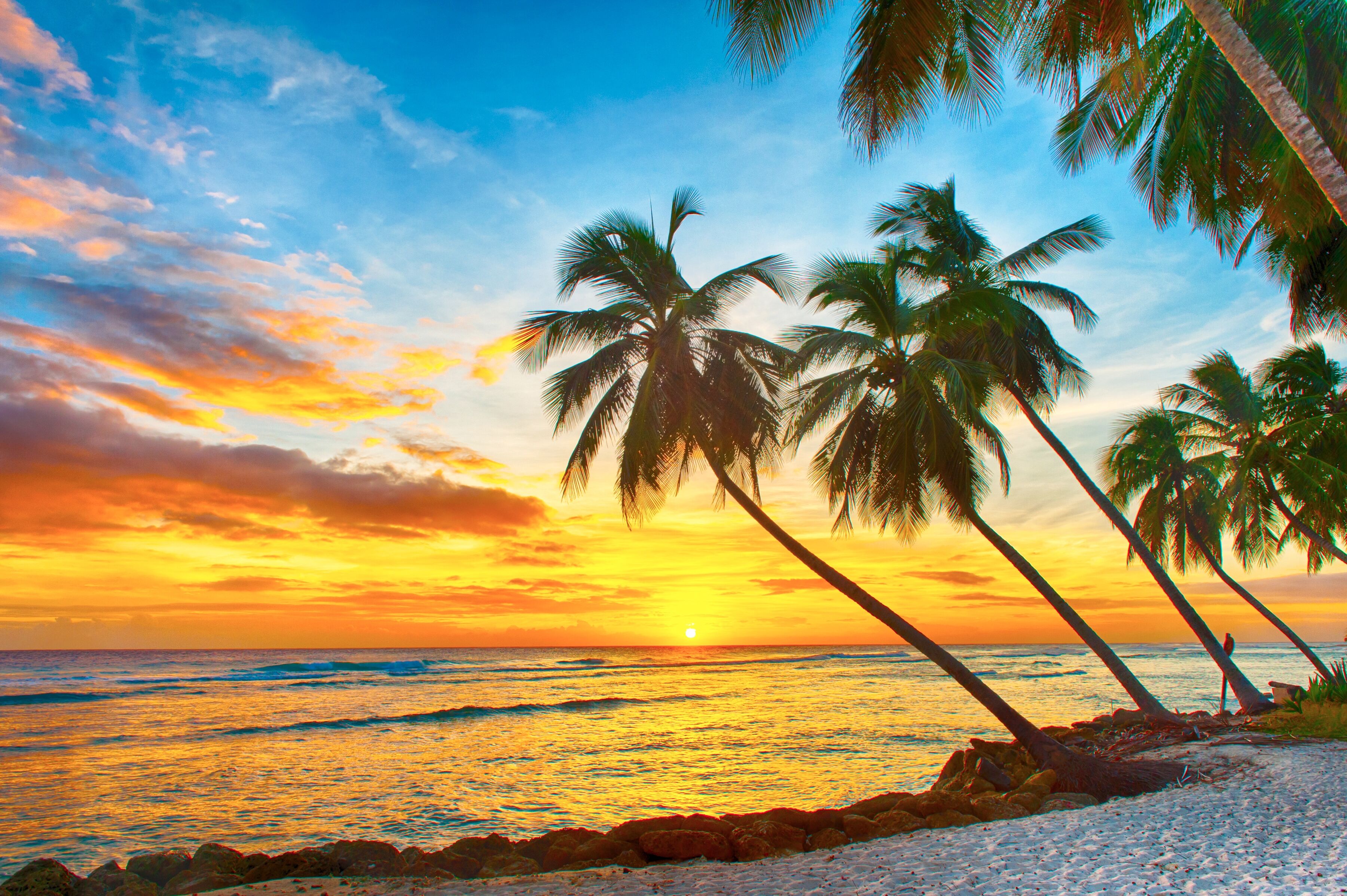 Fototapete PAPERMOON "Barbados Palm Beach", bunt, B:3,5m L:2,6m, Vlies, Tapeten, Fototapete