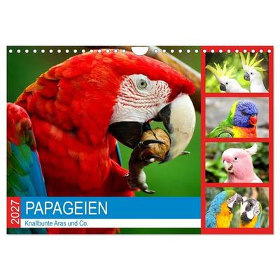 Papageien. Knallbunte Aras und Co. (Wandkalender 2027 DIN A4 quer), CALVENDO Monatskalender