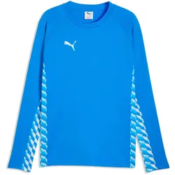 PUMA teamLIGA 26 Training Sweatshirt Herren 02 - electro royal/puma white/electro royal M