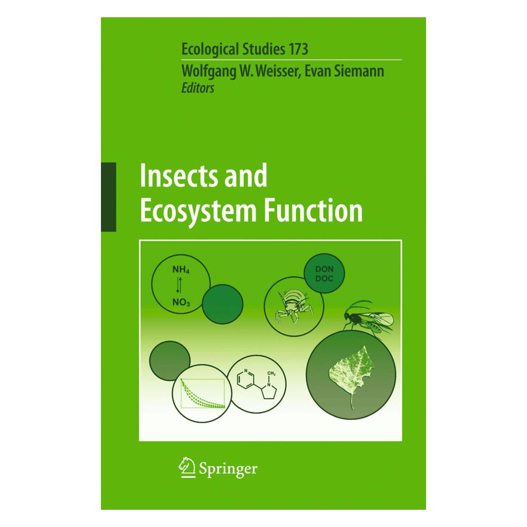Springer Insects and Ecosystem Function (Englisch, Softcover, E Siemann, W Weisser, W/Siemann) (55189416)