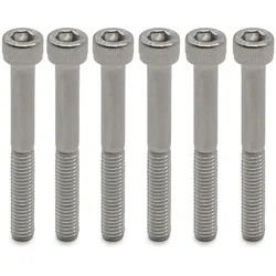 Mastschraube Dualtron Mini 6 Stk