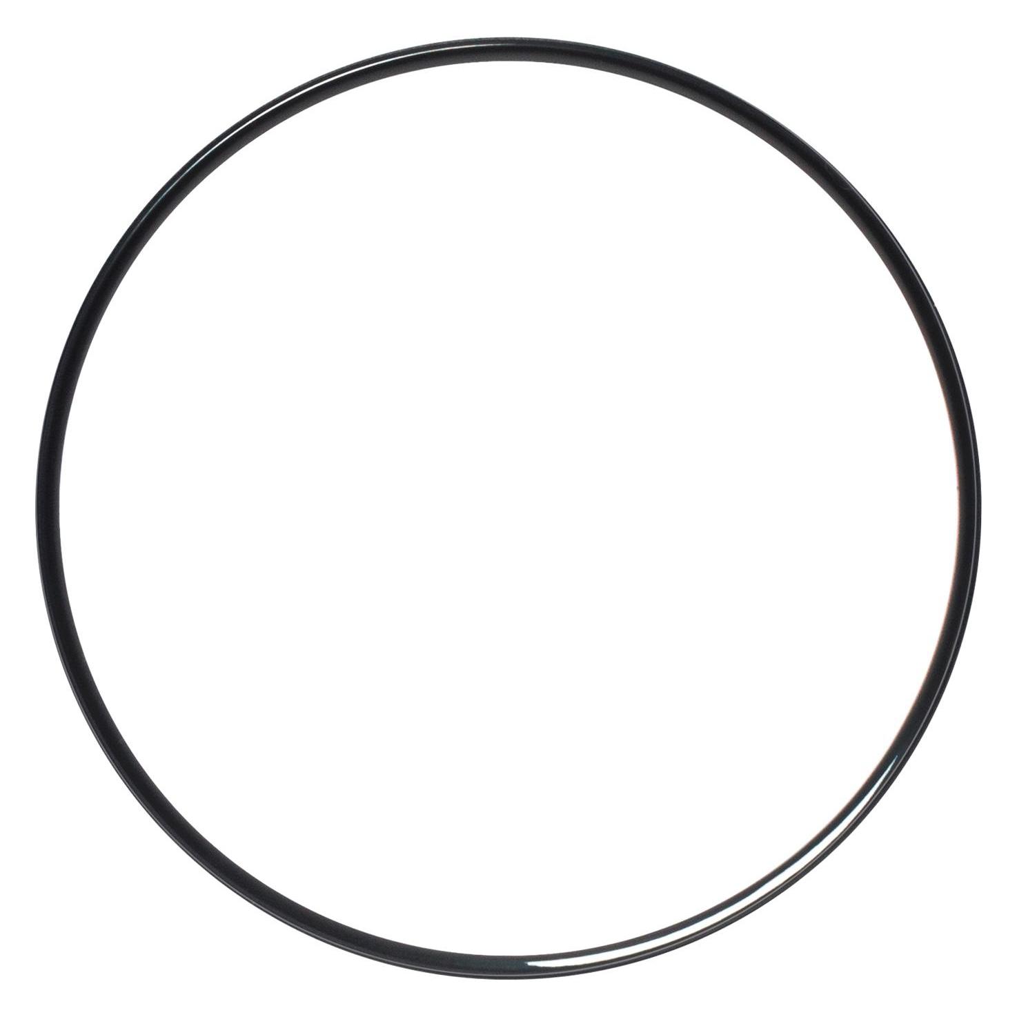 Hebie Kettenschutzring für 317 (0399 RS E1)
