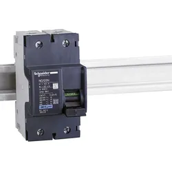 Schneider Electric 18624 Leistungsschalter NG125N, 2P, 25A, C-Charakteristik