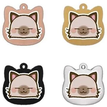 Uplift Essentials Cute Personalized Stainless Steel Cat Identification Tags style 1