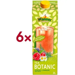 PFANNER Eisteegetränk »Botanic - Zitrone & Himbeere« 6 Stück je 2 L gelb