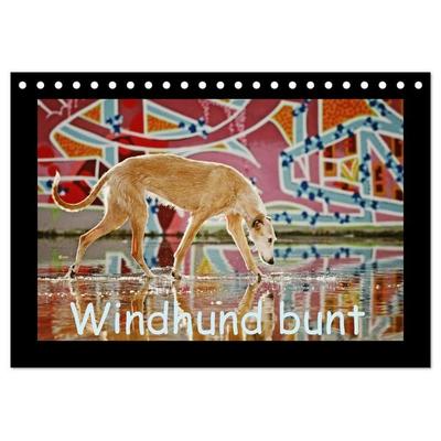 Windhund bunt (Tischkalender 2027 DIN A5 quer), CALVENDO Monatskalender