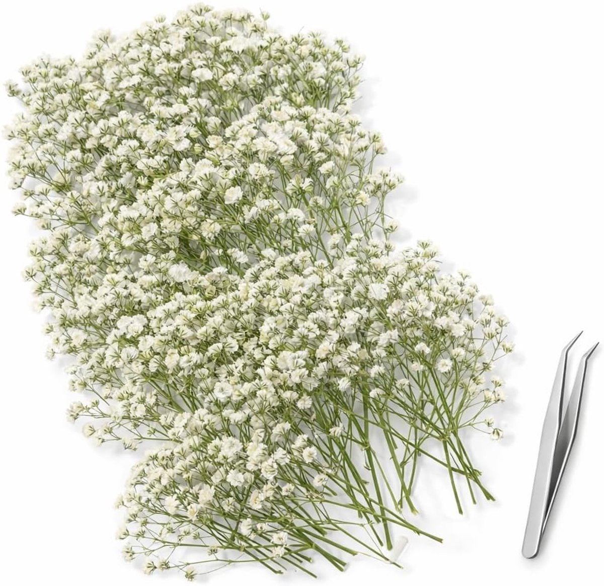 130 Gedroogde en Geperste Witte Gypsophila Bloemen met Pincet voor Resin Art en DIY Decoratie