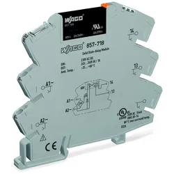 WAGO GmbH &amp; Co. KG SSR-Baustein 857-718